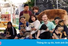 Mái ấm của những chú chó bị bỏ rơi tại TP.HCM giữa dịch