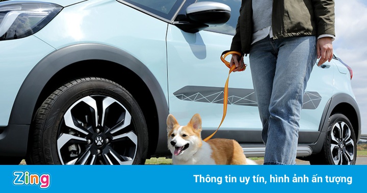 Bộ phụ kiện của Honda dành cho người yêu chó Bộ phụ kiện của Honda dành cho người yêu chó