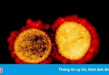 Lo ngại đột biến nguy hiểm hơn của biến chủng Delta