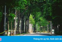 Bí thư Hà Nội: Giãn cách là giải pháp tốt nhất lúc này