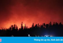 Thảm họa ở Siberia lớn hơn tất cả vụ cháy rừng khắp nơi cộng lại