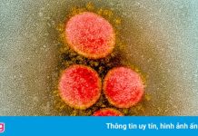 Đã đến lúc chú ý tới đột biến nguy hiểm của biến chủng Lambda