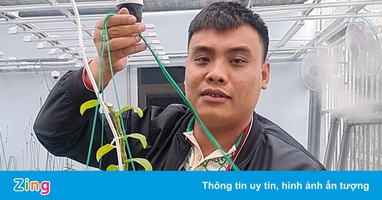 Trùm khai thác than lậu trong vỏ bọc chủ vườn lan đột biến