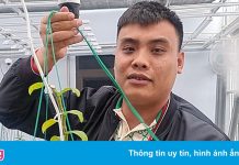 Chủ vườn lan trăm tỷ bị bắt trong vụ buôn lậu than