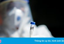 TP.HCM lấy hơn nửa triệu mẫu xét nghiệm nhanh trong 2 ngày