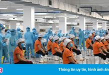 TP.HCM đưa ra 4 phương án sản xuất cho doanh nghiệp lựa chọn