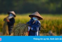 Đại gia 8X thâu tóm nhiều công ty trên sàn chứng khoán