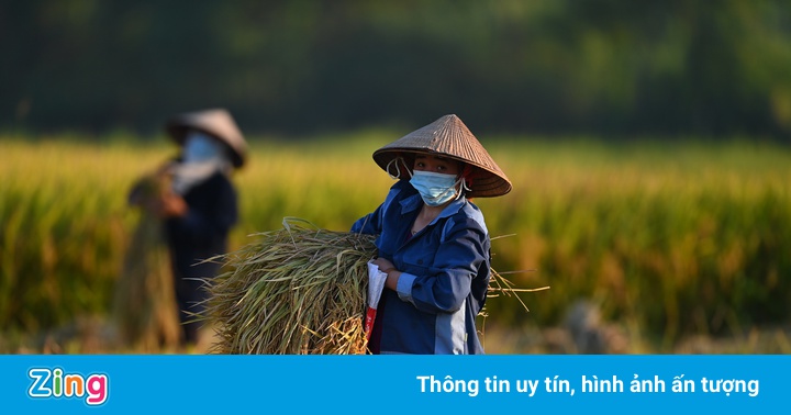 Đại gia 8X thâu tóm nhiều công ty trên sàn chứng khoán