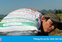 Đề xuất Chính phủ tăng mua dự trữ lúa vào kho quốc gia