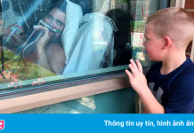 Bác sĩ Fauci cảnh báo viễn cảnh đau khổ vì đợt dịch mới