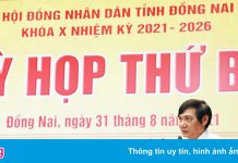 Ông Nguyễn Sơn Hùng làm Phó chủ tịch tỉnh Đồng Nai
