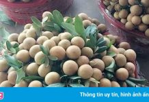 Hậu Giang tồn đọng 180 tấn nhãn, chôm chôm và dưa lê