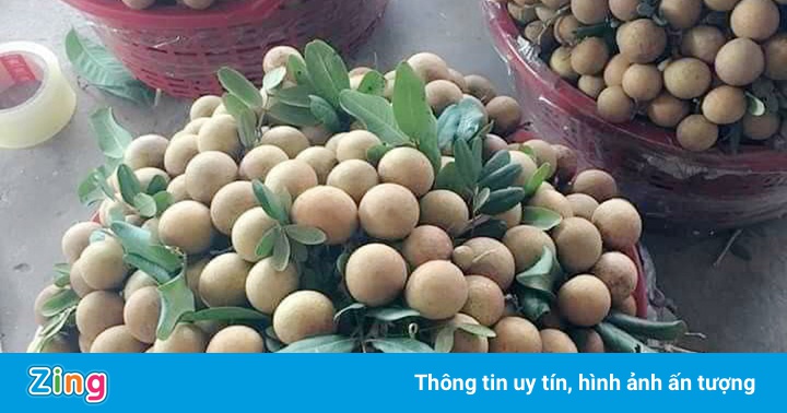 Hậu Giang tồn đọng 180 tấn nhãn, chôm chôm và dưa lê