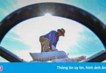 Nhiều công ty phân bón vượt mục tiêu lợi nhuận cả năm