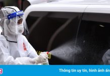 Xem tai nạn giao thông, 51 người trở thành F1