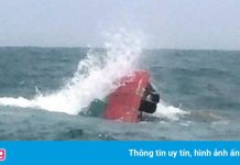 2 ngư dân mất tích khi tàu cá va chạm với tàu chở container