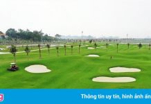 Phó cục Thuế Bình Định ‘khảo sát sân golf’ trong thời gian giãn cách