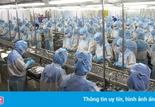 Doanh nghiệp lớn ở miền Tây đang cố gắng cầm cự