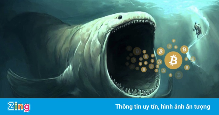Một cá voi bitcoin vừa thức giấc sau gần 8 năm không hoạt động Một cá voi bitcoin vừa thức giấc sau gần 8 năm không hoạt động