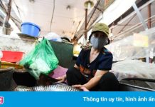 Tiểu thương xin sơ chế xong cá khi chợ Linh Lang bị phong tỏa