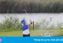 Giám đốc Trung tâm xúc tiến du lịch Bình Định bị tạm đình chỉ công tác