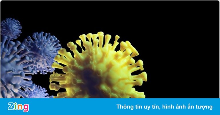 Nam Phi phát hiện biến chủng nCoV mới