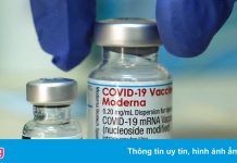 Phát hiện mới về kháng thể của vaccine Moderna và Pfizer