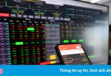 Nên đầu tư nhóm cổ phiếu nào cuối năm?