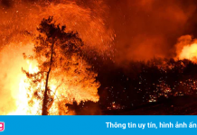 Người đàn ông Thổ Nhĩ Kỳ tìm thấy điều kỳ diệu sau vụ cháy thảm khốc