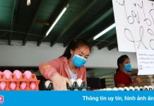 Thái Lan dọa phạt tù người tăng giá trứng gà