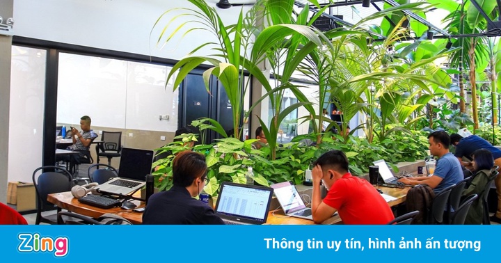 Giảm hàng trăm triệu tiền thuê văn phòng mùa dịch Giảm hàng trăm triệu tiền thuê văn phòng mùa dịch