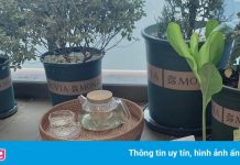 Sống tích cực giữa mùa dịch ở TP.HCM