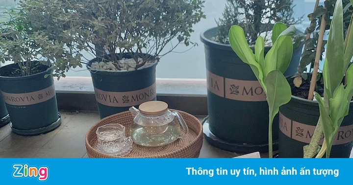 Sống tích cực giữa mùa dịch ở TP.HCM