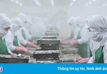 Doanh nghiệp thủy sản miền Tây lo bị phạt chậm đơn hàng, mất khách