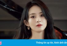 Văn phòng đại diện của Triệu Lệ Dĩnh bị cấm phát ngôn