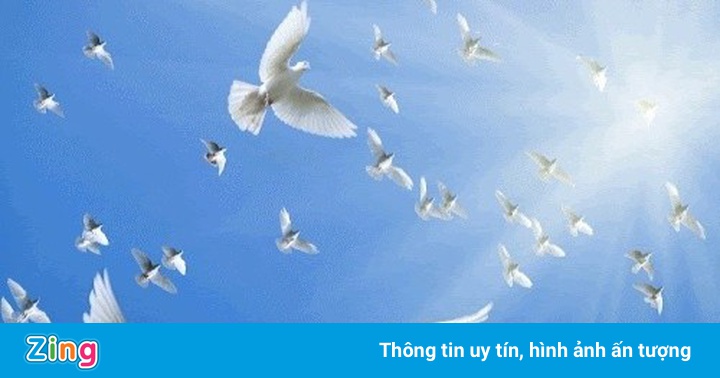 Bài toán tính số chim trong ‘Đường lên đỉnh Olympia’