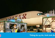 CH Czech chuyển Việt Nam 250.800 liều vaccine AstraZeneca và Moderna