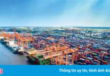 Cổ phiếu Vinalines tăng giá gấp 8 lần cùng kỳ