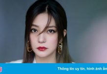 Vì sao Triệu Vy mất sự nghiệp chỉ sau một đêm?