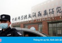 WHO phủ nhận thay đổi lập trường về nguồn gốc Covid-19