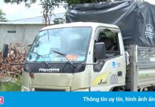 Cho cô gái đi nhờ về quê, tài xế xe luồng xanh bị xử phạt