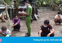 15 người lắc tài xỉu giữa cánh đồng tràm ở Long An