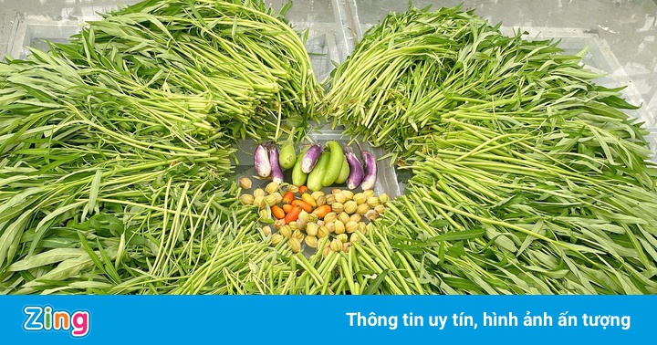 Nhà có 2 tầng trồng rau củ, vợ chồng hái tặng hàng xóm ngày giãn cách