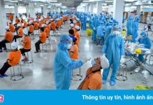 Doanh nghiệp FDI ở TP.HCM than mất đơn hàng trăm triệu USD