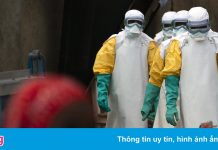 Bê bối tình dục phía sau sứ mệnh của các cơ quan Liên Hợp Quốc