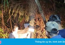 Điều tra vụ án một phụ nữ tử vong trong rừng sâu