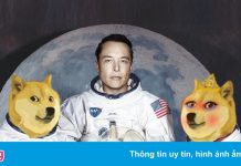 Đồng tiền tương tự Dogecoin tăng trưởng hơn 3.000% một ngày