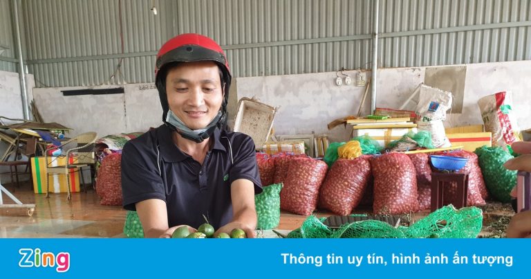 Cau tăng giá gấp đôi, nông dân Tây Nguyên thu hàng trăm triệu