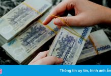 12 người bị lừa khi đầu tư vào trò chơi cá cược