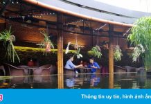 Hà Tĩnh cho phép quán ăn vỉa hè, phòng gym hoạt động